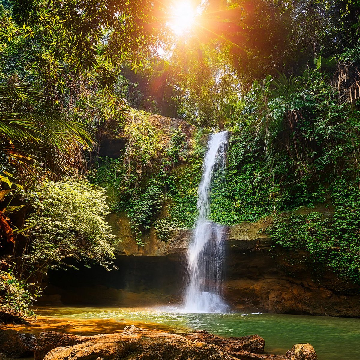 unseenchasm's tweet photo. In the heart of the jungle, the waterfall sings its ancient song. #HiddenWaterfall #JungleMystery #Nature #AI https://t.co/BbL8F8FaLA