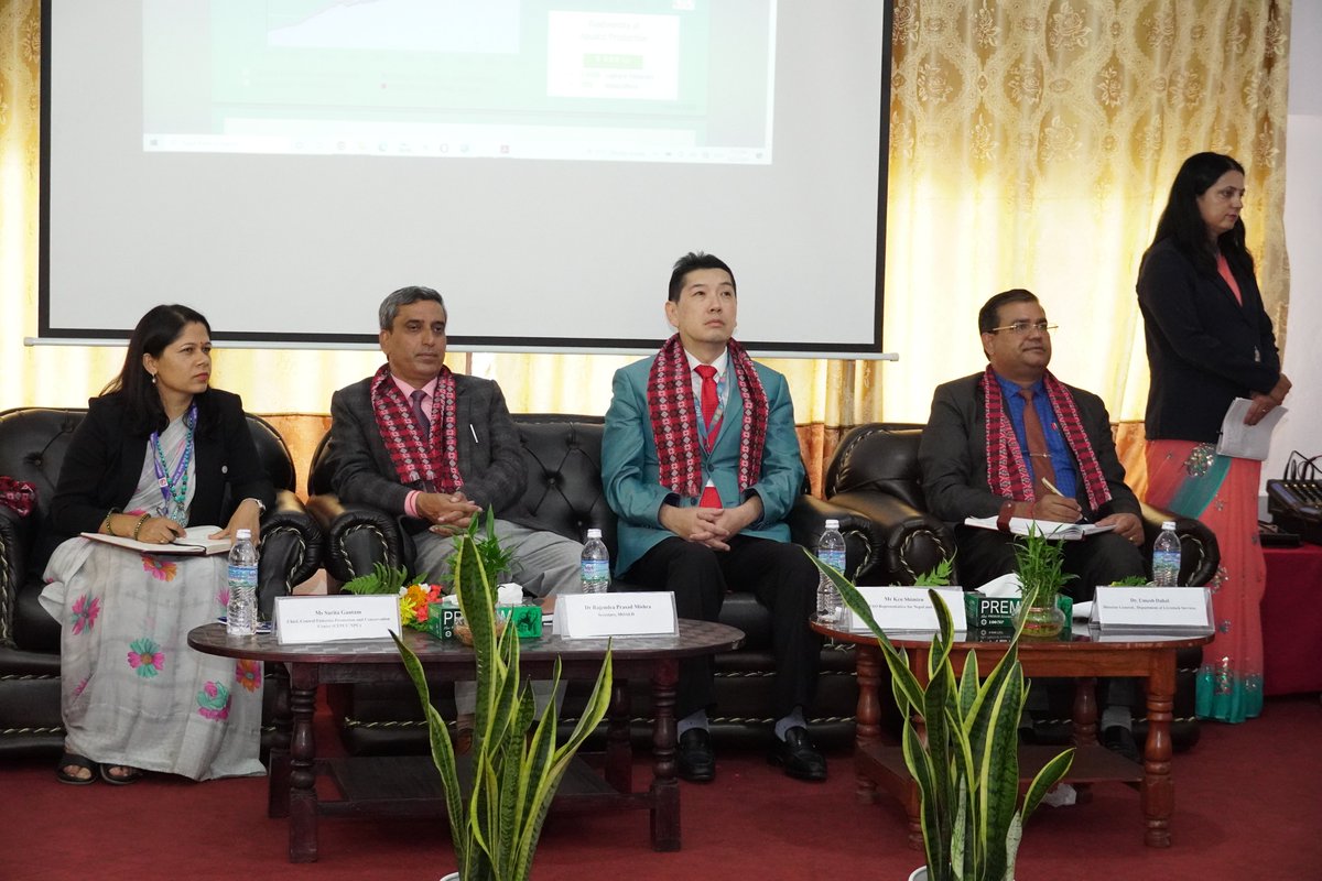 FAONepal's tweet image. FAO with #MoALD, Central Fisheries Promotion and Conservation Center organized Inception Workshop on Sustainable Pangasius Production and Upgraded Value Chain targeting prioritizing aquaculture for better employment opportunities,curbing youth migration, and improving livelihoods