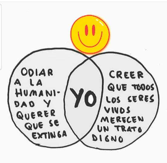 El Gato Volador tweet media