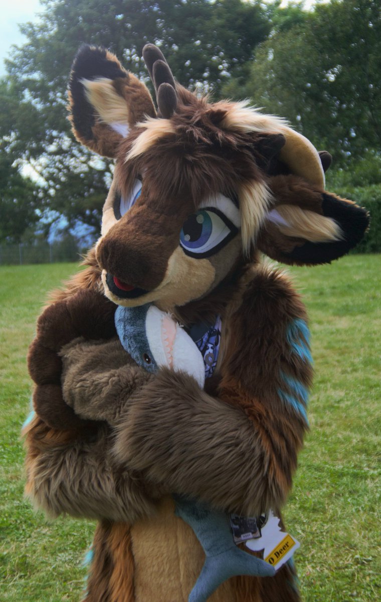 This is my Blåhaj and I will protect him. 

#FursuitFriday #fursuiter #fursuiting #fursuit