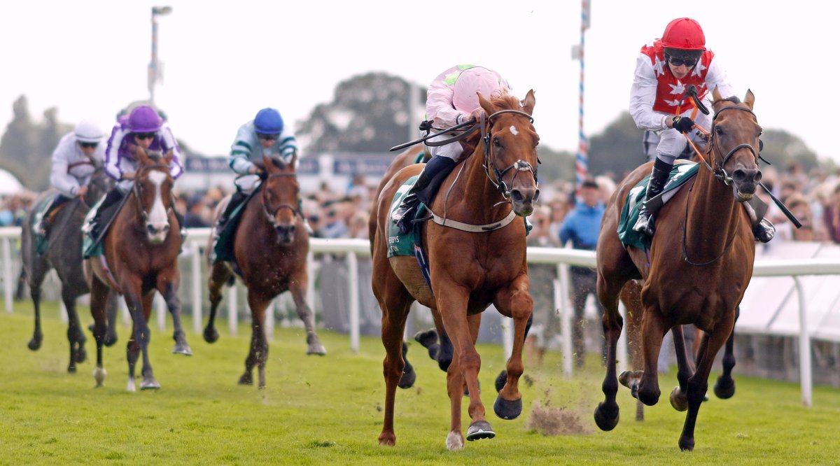 EBN (@bloodstocknews) on Twitter photo ✨ More Group success for <a href="/HarasColleville/">Haras de Colleville</a>'s GALIWAY ✨
🏆 VAUBAN (pic <a href="/Steven_Cargill/">Steven Cargill</a>) wins the Gr.2 Lonsdale Cup Stakes at the York Ebor Festival for trainer <a href="/WillieMullinsNH/">Willie Mullins</a> and owner Rich Ricci.
🗞 Don't miss the winner's pedigree review in tomorrow's EBN
#ReadAllAboutIt ✨ More Group success for <a href="/HarasColleville/">Haras de Colleville</a>'s GALIWAY ✨
🏆 VAUBAN (pic <a href="/Steven_Cargill/">Steven Cargill</a>) wins the Gr.2 Lonsdale Cup Stakes at the York Ebor Festival for trainer <a href="/WillieMullinsNH/">Willie Mullins</a> and owner Rich Ricci.
🗞 Don't miss the winner's pedigree review in tomorrow's EBN
#ReadAllAboutIt