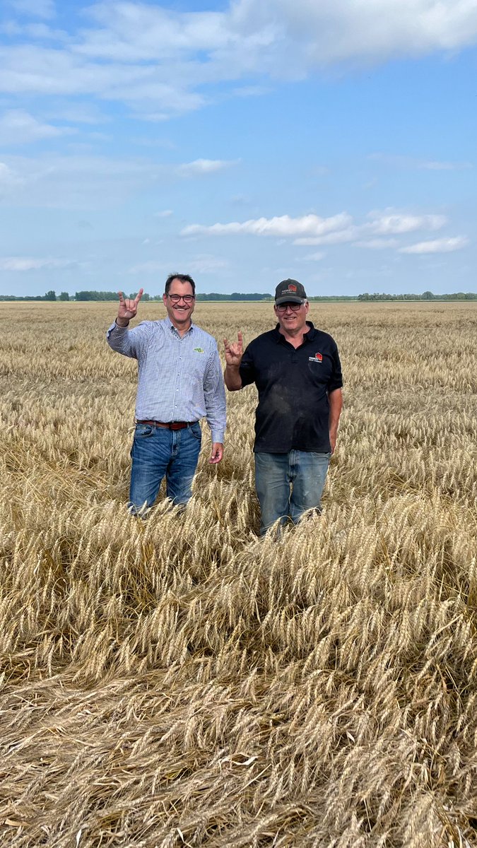 HankeySeed's tweet photo. We had the honor of hosting some special guests yesterday at Hankey Seed. NDSU President, Dr. David Cook, along with his colleagues Megan Myrdal, and Randy Schmeling. It was a pleasure to have you all come visit. Go Bison! 📷 https://t.co/xKIEOMGsUm