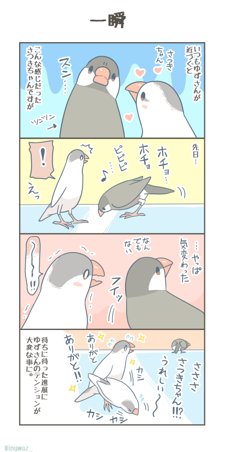 一瞬。

#Buncho #文鳥 
#漫画が読めるハッシュタグ 