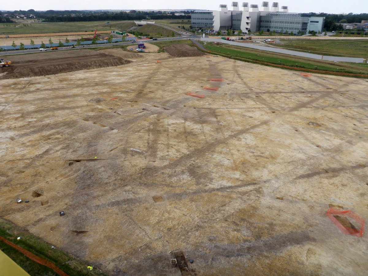 Oxford Archaeology tweet media