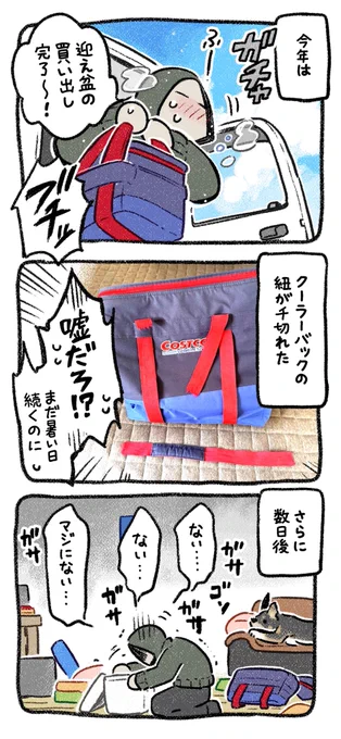 (2/3) 