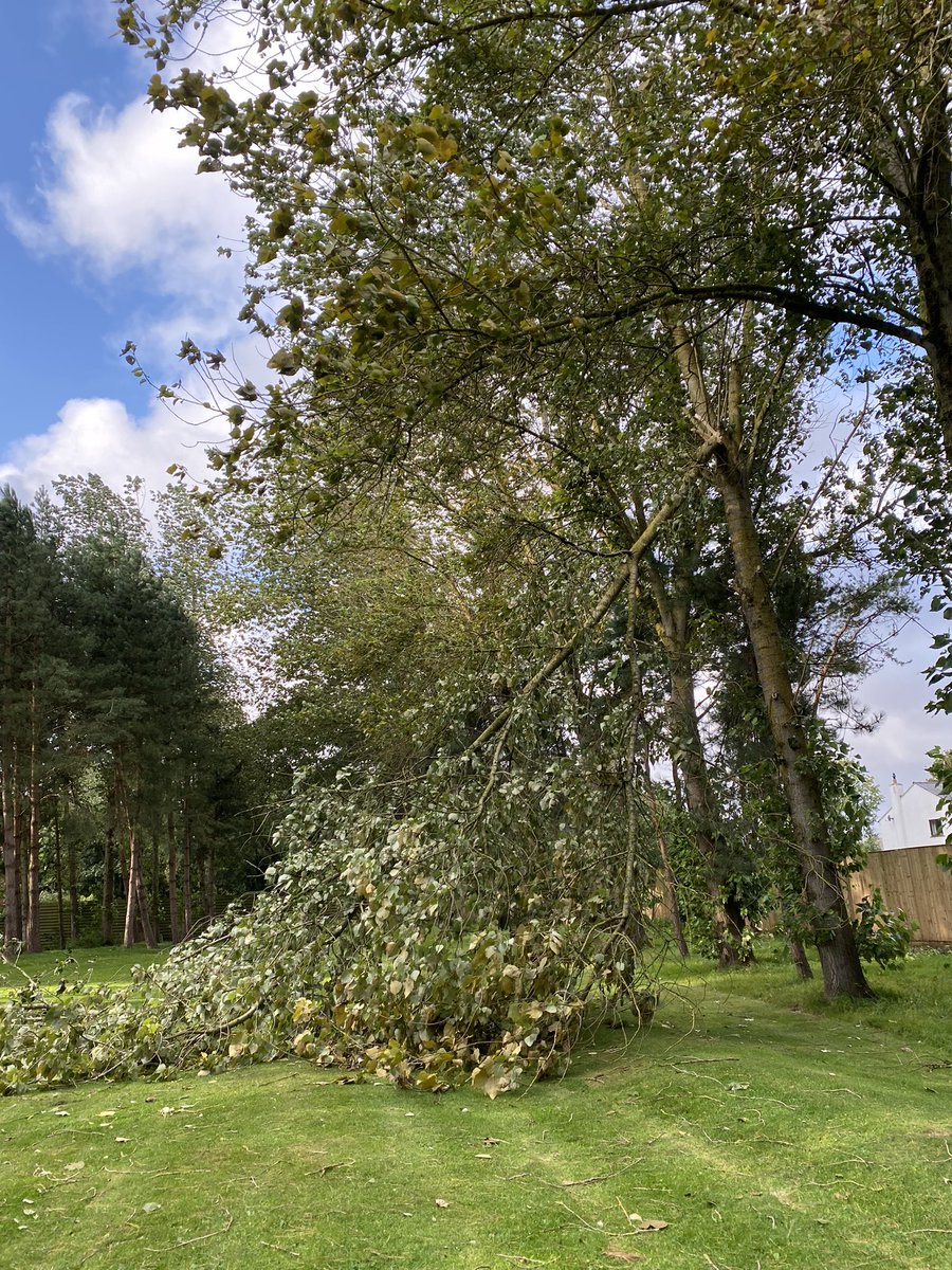 FormbyGC's tweet image. FootGolf will be back open from 1pm
A few fallen trees and lots of debris to clear thanks to #StormLilian 💨 
Bookings can be made here:

booking.bookinghound.com/fe/booking?og=…