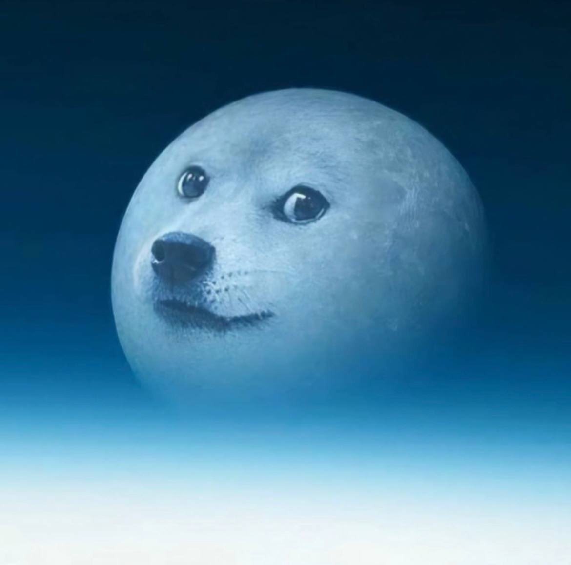 CryptoSpvce's tweet photo. @AntesMcjo299 @Altcoinbuzzio @NeiroWoof Woof woof πβ½οΈπβ½οΈ $NEIRO #FirstAndFair πβ½οΈπβ½οΈ https://t.co/bcchB3IdjY