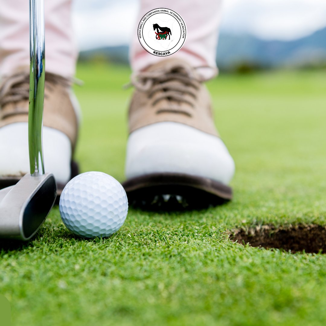 KESCAVAvets's tweet photo. Self-care is crucial for maintaining #mentalhealth, yet it’s often overlooked in high-demand professions.
This weekend, we encourage vets to prioritize their well-being by indulging in activities that bring relaxation and joy, such as hobbies to recharge.
#NotOneMoreVet https://t.co/TLhWuAYZMo