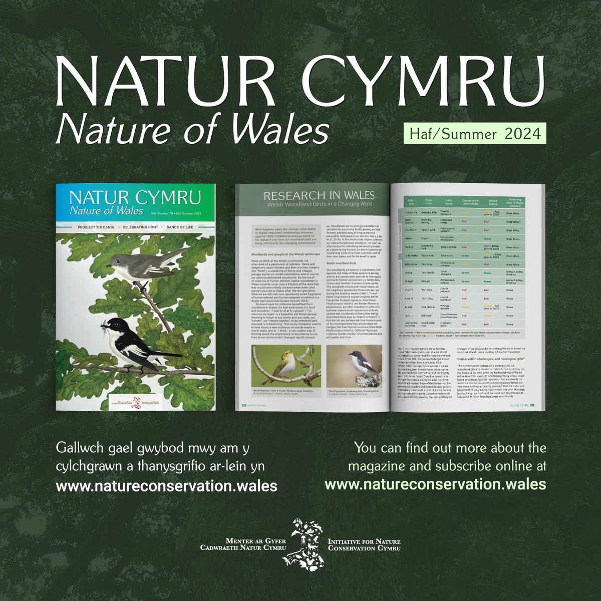 NaturCymru's tweet photo. For £30 a year you can subscribe to Natur Cymru and support @INCCymru  to deliver its conservation and campaign work in Wales. Please support us if you can!

https://t.co/M1ca1cP3Da https://t.co/KWW5Pfgewf