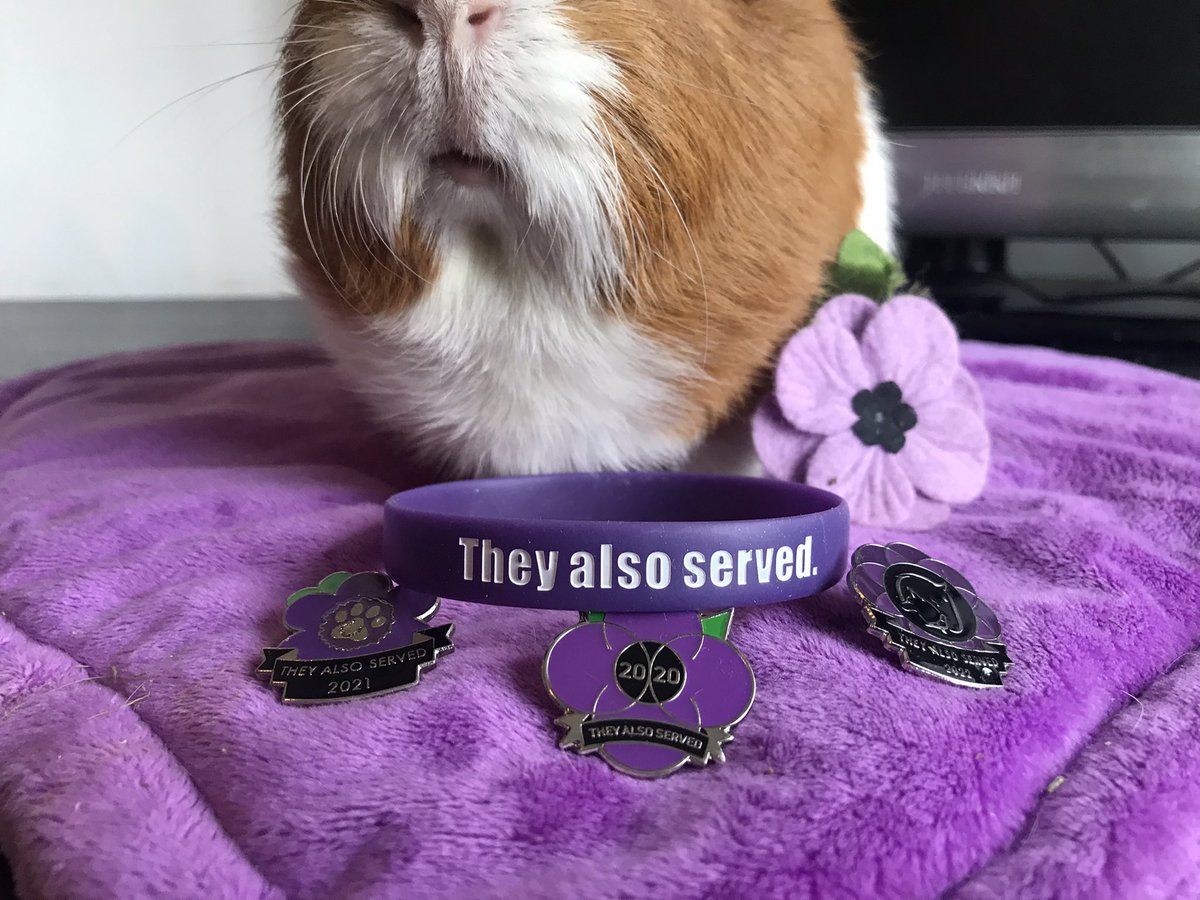 LadyChessington's tweet photo. Today is Purple Poppy Day. 💜🐾
What is Purple Poppy Day? This Poppy marks all the animals that served and perished at war… @MA_PurplePoppy
Continue reading below… ⬇️
🐾💜
#TheyAlsoServed #PurplePoppy #Animals #NalaThePigalodon #MurphysArmy https://t.co/XDmFNfzvlZ