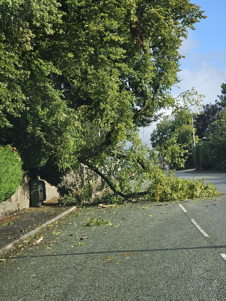 More #storm damage in Edenfield #StormLilian <a href="/BuryTimes/">Bury Times</a> <a href="/wwwburyinfo/">Bury.info</a> if you suffer damage to your roof or property get in touch at punchpropertyrepair.co.uk or ring 0161 705 2181 for a quick quote.