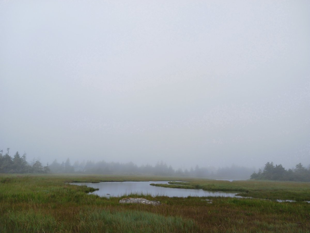 ImagesCoast's tweet image. Jet can still be heard going over the daily summer storms here in Nova Scotia, Canada.  August 2024

#GeoEngineering #ionizeddopplerblanket #weathercontrol #poisonskies