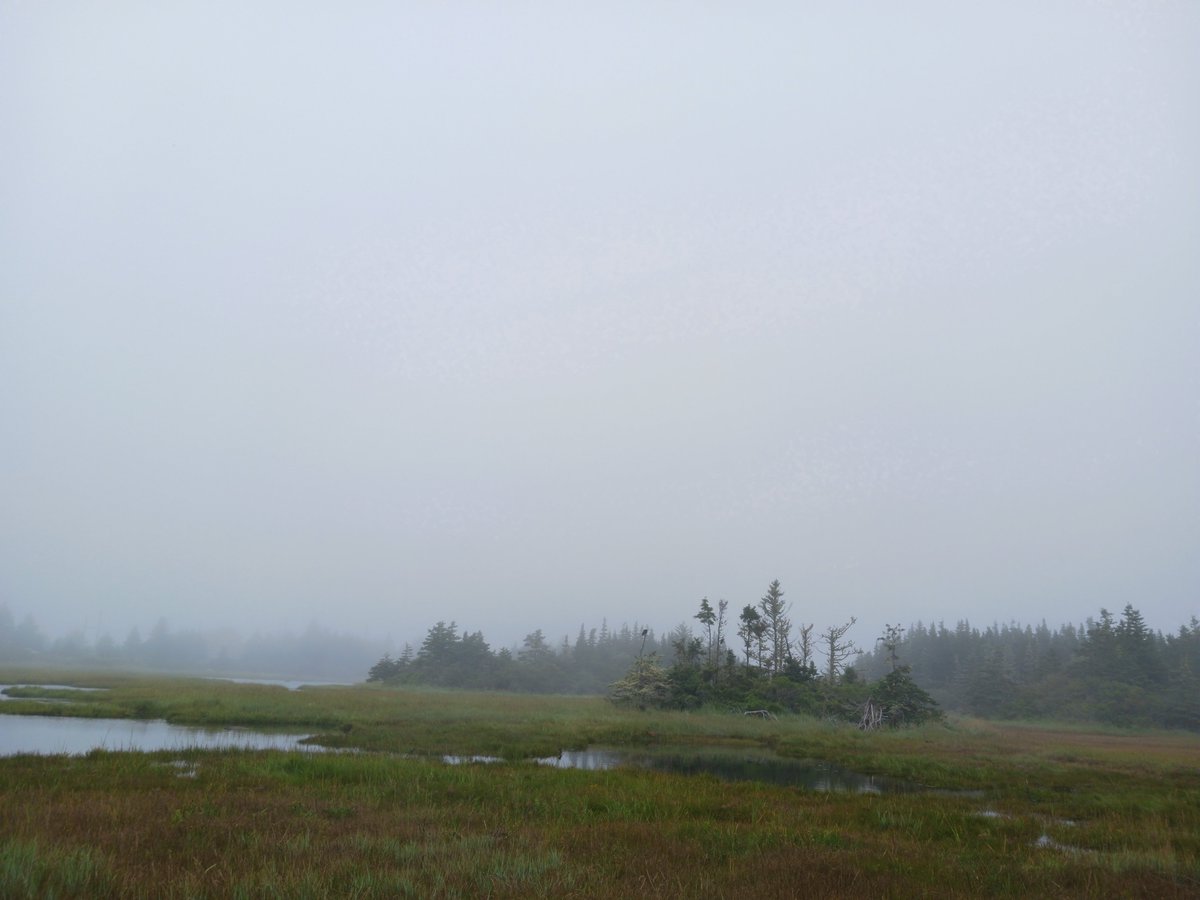 ImagesCoast's tweet image. Jet can still be heard going over the daily summer storms here in Nova Scotia, Canada.  August 2024

#GeoEngineering #ionizeddopplerblanket #weathercontrol #poisonskies