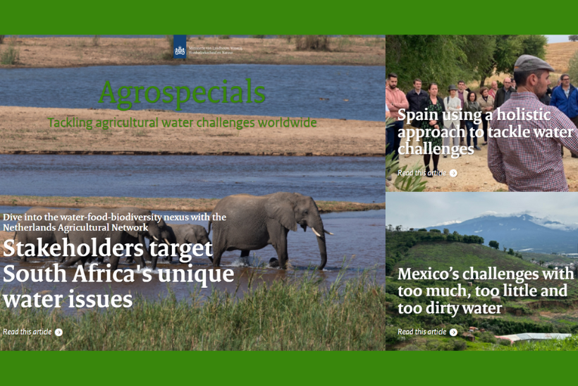Dive into our new e-magazine #Agrospecial ‘Tackling agricultural water challenges worldwide’ by Netherlands Agricultural Network with insights in the opportunities and challenges of water management and the role of LAN worldwide. <a href="/minlvvn/">Ministerie van LVVN</a> 
🔗shorturl.at/pi3id