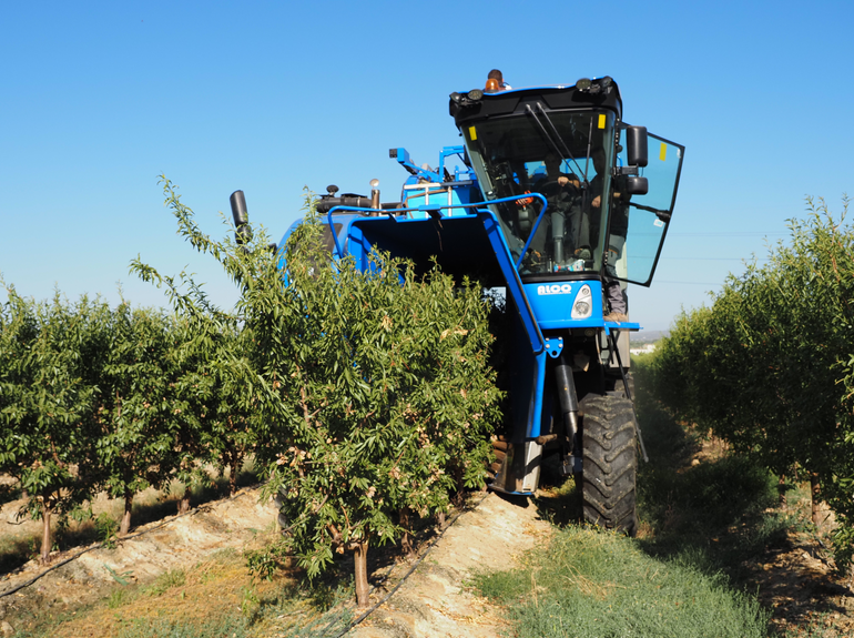 Agromillora_'s tweet image. 🌿 ¡#DEMOTOUR regresa con las jornadas de cosecha de #almendro en seto! 
🚜 Vive en directo las últimas innovaciones en el cultivo de almendro en seto y conoce de primera mano una #recolección mecanizada. 

🔗 No te lo pierdas y regístrate aquí: eu1.hubs.ly/H0bVlzl0

#agro