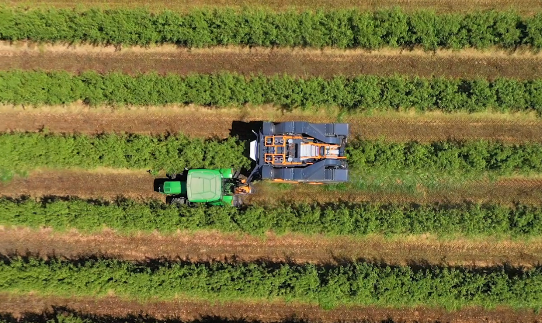 Agromillora_'s tweet image. 🌿 ¡#DEMOTOUR regresa con las jornadas de cosecha de #almendro en seto! 
🚜 Vive en directo las últimas innovaciones en el cultivo de almendro en seto y conoce de primera mano una #recolección mecanizada. 

🔗 No te lo pierdas y regístrate aquí: eu1.hubs.ly/H0bVlzl0

#agro