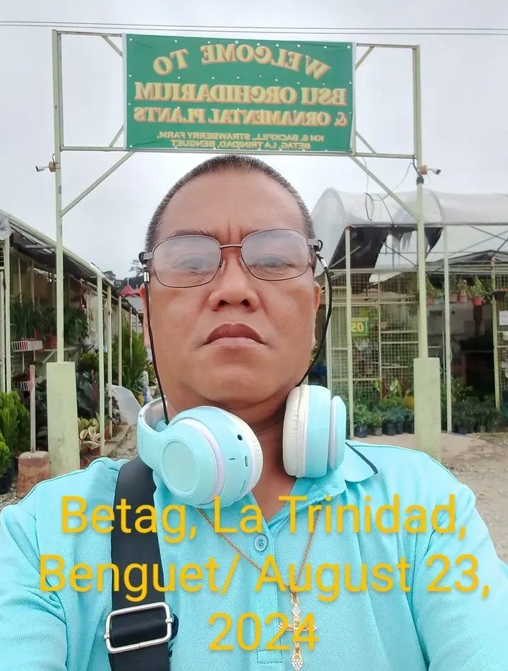 CarlosDandreb's tweet photo. La Trinidad, Benguet (Strawberry farm)/August 23, 2024

dandancastro https://t.co/Wiw3NIfGmZ