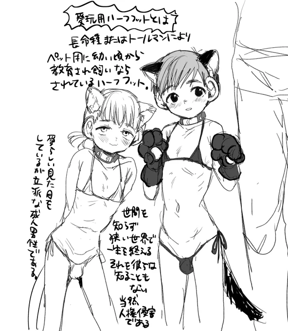 愛玩用ハーフフット(成人男性)とは!? 