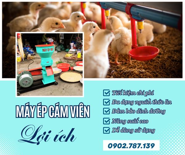 𝐌𝐚́𝐲 𝐞́𝐩 𝐜𝐚́𝐦 𝐯𝐢𝐞̂𝐧 - 𝐆𝐢𝐚̉𝐢 𝐩𝐡𝐚́𝐩 𝐜𝐡𝐚̆𝐧 𝐧𝐮𝐨̂𝐢 𝐡𝐢𝐞̣̂𝐮 𝐪𝐮𝐚̉ "
(Cần Thơ): 0938 704 139
------------------------
#mayhantui #epcamvien #mayepcamvien #maylamcam #mayduncamvien #maynongnghiep #maychannuoi #camgao