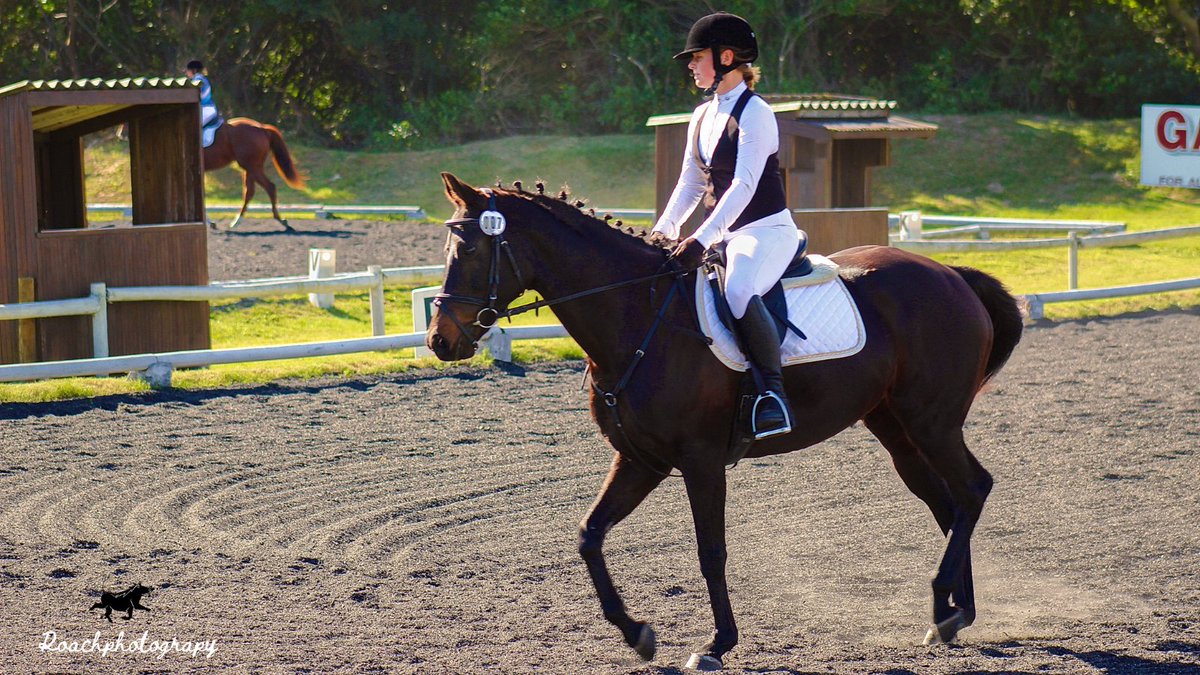 If you feel like there's something out there that you're supposed to be doing, if you have a passion for it, then stop wishing and do it. #roachphotography #horses #horsephotographer #equestrian #equestrianlife #LiveYourPassion #PASSION #equestrianphotography #picoftheday