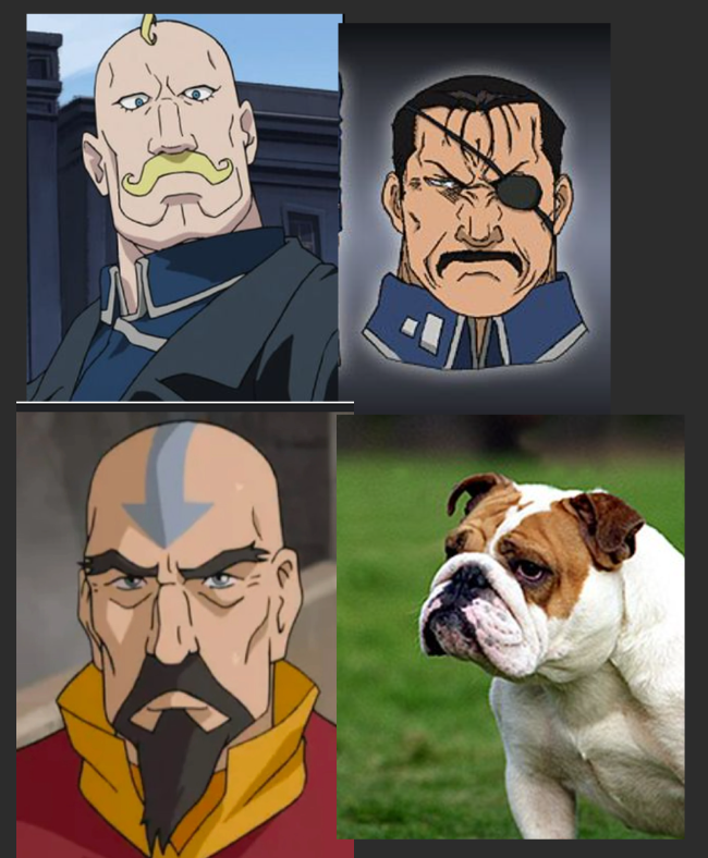 niuner's tweet photo. @AYMRC Not a huge mustache person myself either, but the ones with bull-dog like features are growing on me https://t.co/H5N4G2UPxf