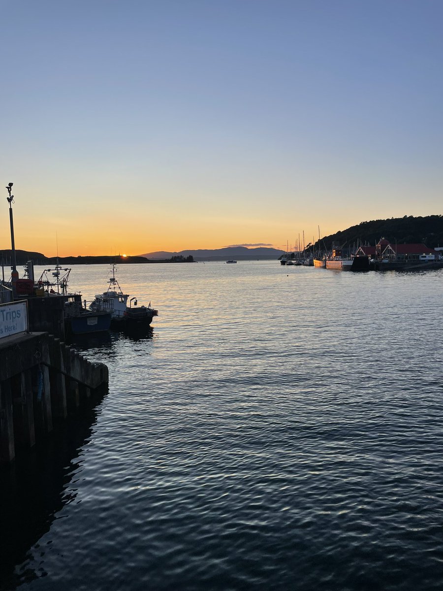 Melanie Whitlock tweet media