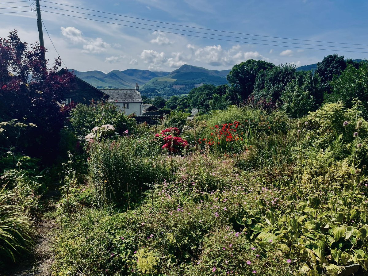 Melanie Whitlock tweet media