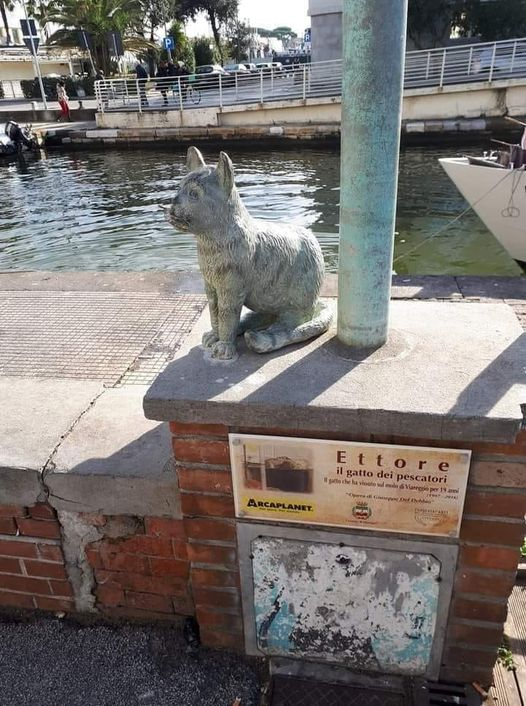 pierpi13's tweet photo. Bellissima la storia del gatto Ettore
Abbandonato nel 1997 in una scatola di cartone sugli scogli del molo di Viareggio. Non aveva una casa, ne aveva 100 almeno, non aveva un "padrone", ma aveva mille amici che si prendevano cura di lui... i pescatori di Viareggio erano la sua famiglia, lui li aspettava in questo punto del molo, aspettava la sua "cena" e loro erano ben felici di regalargli porzioni di pescato. Era la mascotte di tutti, grandi, piccini e turisti, tutti avevano una carezza per lui... fino al dicembre 2016... diciannove anni di affetto, strusciate e fusa. Ettore è stato portato in un rifugio dove ha vissuto con cure e amore, fino al 15 dicembre, quando la sua codina si è fermata per sempre ed è corso sul ponte a giocare con le stelle... Gli è stata dedicata una statua in bronzo, posizionata nel punto sul molo in cui Ettore aspettava i suoi amici pescatori...