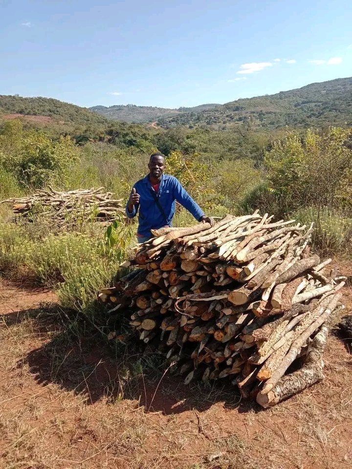 I'm selling fire wood R300 (bakkie load)