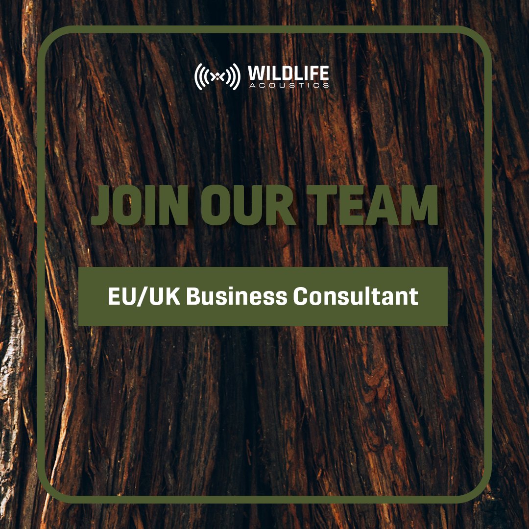 UK and European professionals, we're seeking a Business Consultant, living in Europe or the UK, to manage customer accounts and represent us at global conferences.

Learn more and apply at loom.ly/BBinZOc