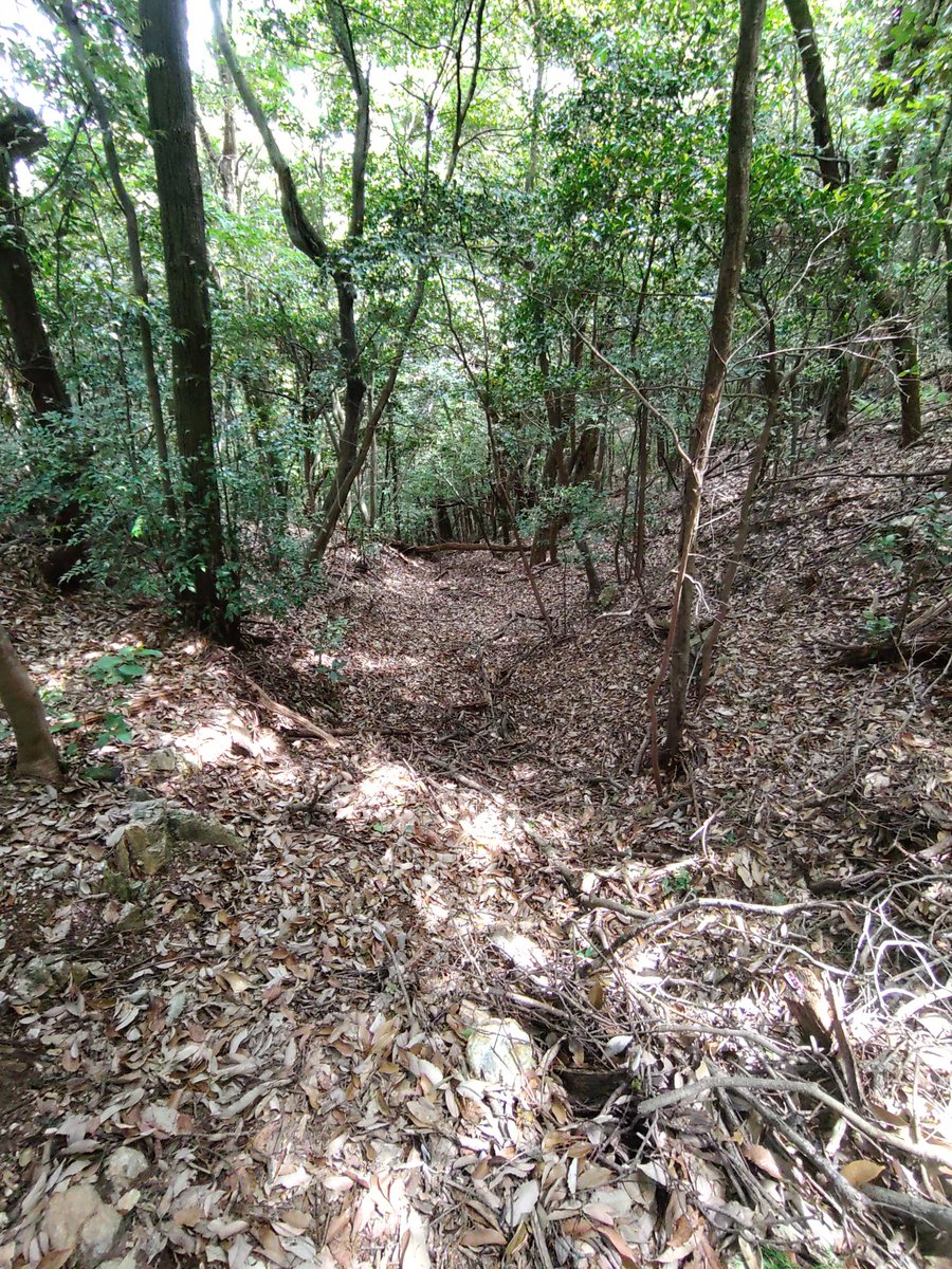 subrow326's tweet image. #見た人も好きな城郭をあげる
岐阜城に決まっとる‼️