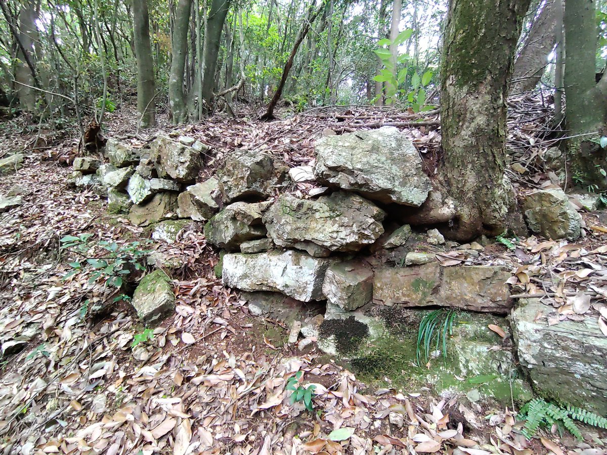 subrow326's tweet image. #見た人も好きな城郭をあげる
岐阜城に決まっとる‼️