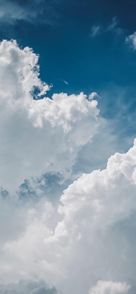 awpSOL5 ) tweet media