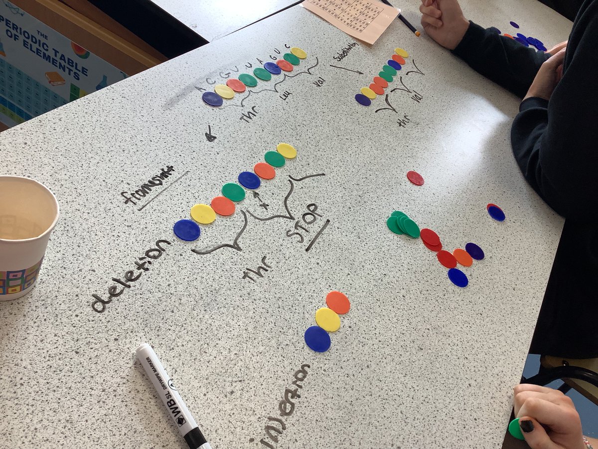 CHSLearnTeach's tweet image. Higher mutations was a sticky area last year, so this year we‘ve been modelling each mutation with counters and pipe cleaners. Doing this back to front without keywords has been much more impactful!