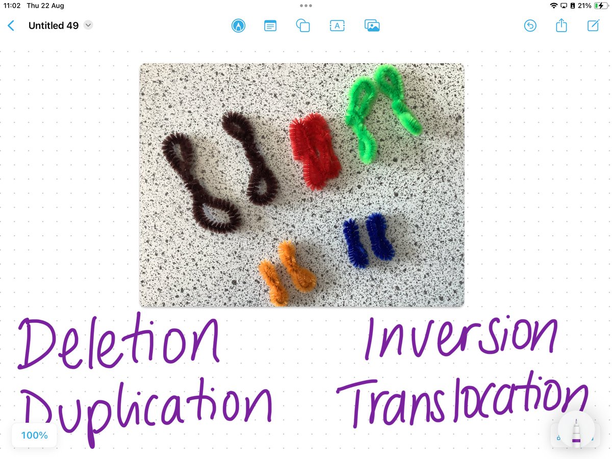 CHSLearnTeach's tweet image. Higher mutations was a sticky area last year, so this year we‘ve been modelling each mutation with counters and pipe cleaners. Doing this back to front without keywords has been much more impactful!
