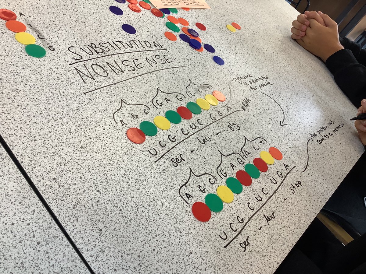 Higher mutations was a sticky area last year, so this year we‘ve been modelling each mutation with counters and pipe cleaners. Doing this back to front without keywords has been much more impactful!