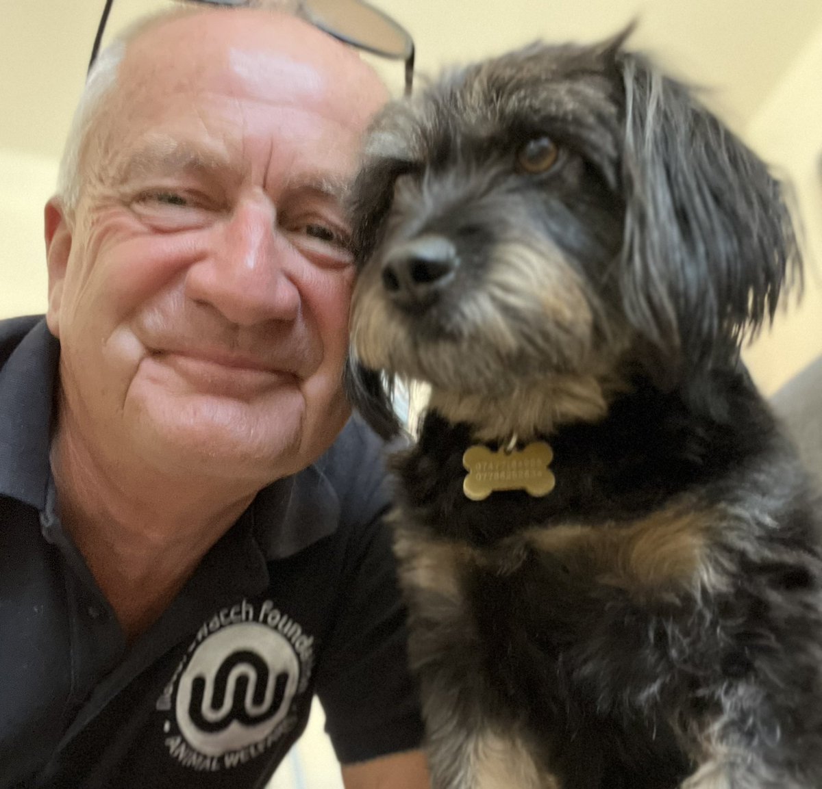 Hidden-in-Sight 🕵🏼♂️ (@hi_sight) on Twitter photo Training today with South Yorkshire Police <a href="/syptweet/">South Yorkshire Police</a> about animals within domestic abuse cases - the <a href="/Naturewatch_org/">Naturewatch Foundation</a> ‘Protect Animals. Protect People’ campaign - I get the best co-presenters 🐾 - #BreakingTbeLink Training today with South Yorkshire Police <a href="/syptweet/">South Yorkshire Police</a> about animals within domestic abuse cases - the <a href="/Naturewatch_org/">Naturewatch Foundation</a> ‘Protect Animals. Protect People’ campaign - I get the best co-presenters 🐾 - #BreakingTbeLink