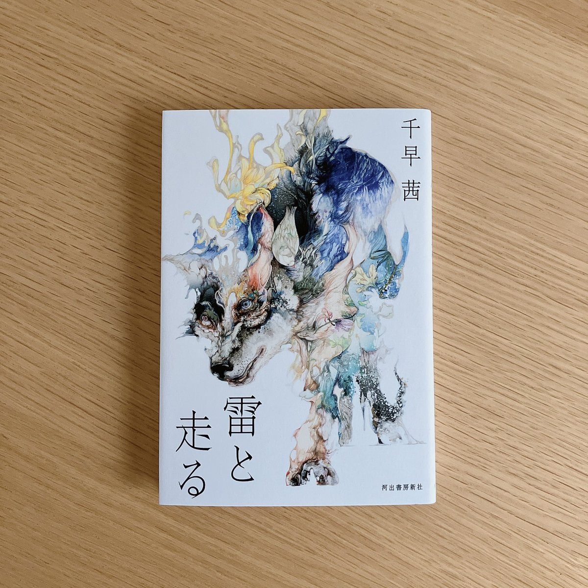 chihacenti's tweet image. 河出書房新社より『雷と走る』が刊行されました。犬と少女の物語です。
装丁は大久保伸子さん。
美しい犬の装画は入江明日香さん。愛する獣の命は万物を放つように青く燃えているのかもしれない、と一目で心を奪われた作品でした。