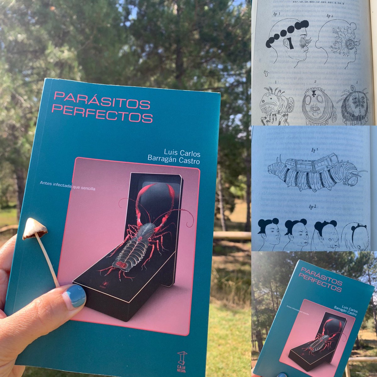 TeresaLPellisa's tweet photo. 🚀 Si buscas una lectura que te haga cuestionar la realidad, no te puedes perder "Parásitos perfectos" de #luiscarlosbarragán.🍄🤖Este libro de cuentos nos lleva a un universo transhumano lleno de sorpresas. Con reminiscencias de #Cronenberg, #Borroughs #Ballard @cajanegraedit https://t.co/iJ5vi3gXb4