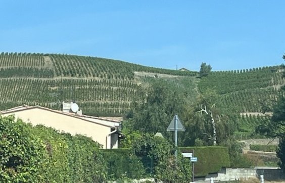 PinardTweetard tweet media