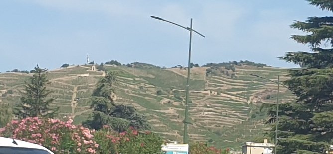 PinardTweetard tweet media