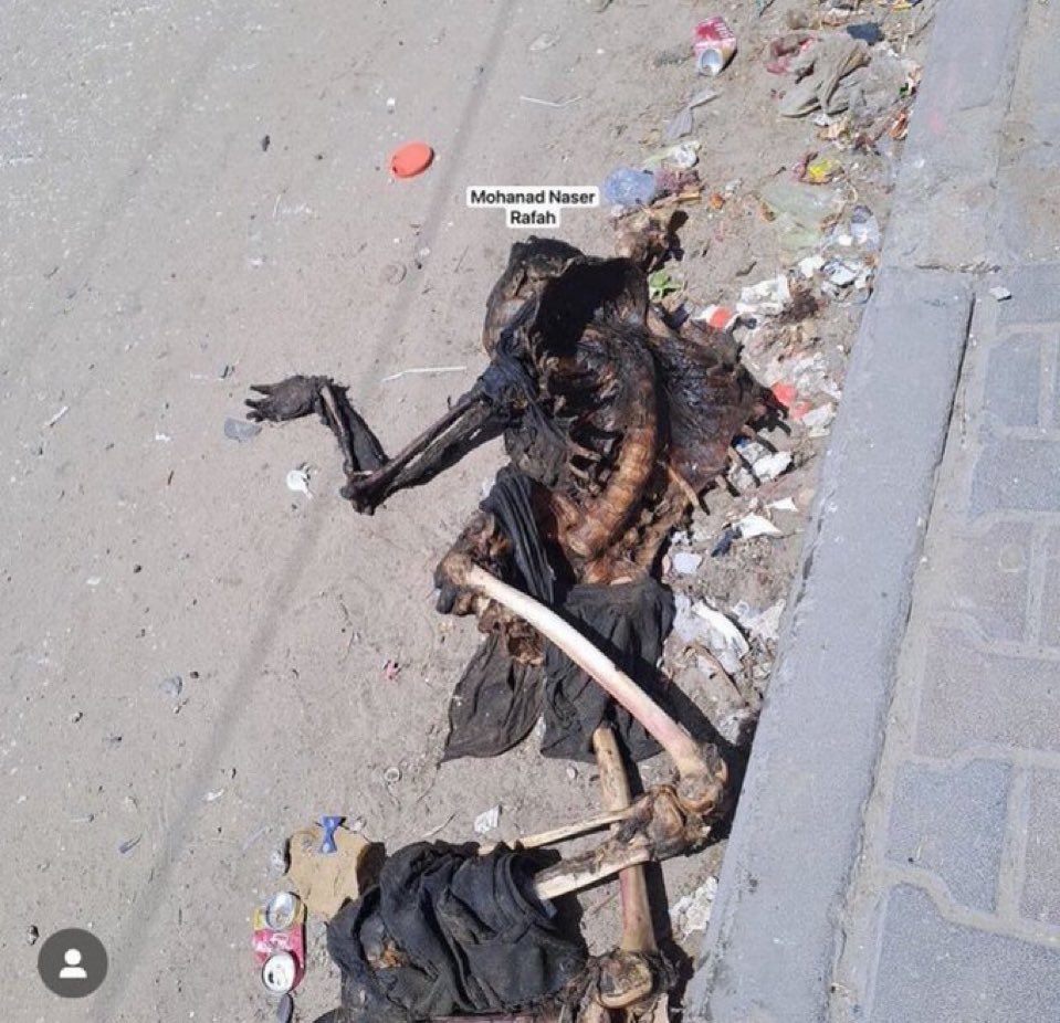 نشر جرائم الاحتلال واجب على كل مسلم