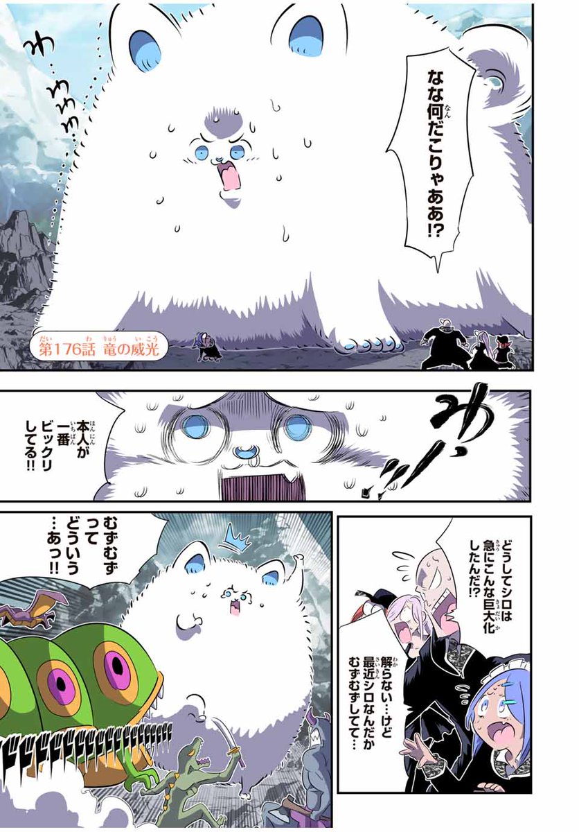シロのお顔がずっとおもろかわいい🤣🤣