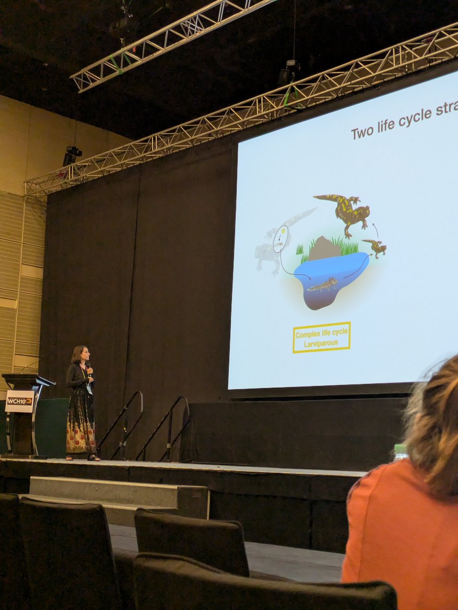 Kafka_project's tweet photo. @lelouppe , @i_tsst , @Morgane_Fo and @grumpyDrFabre all presented their work on the META-MORPHOSIS project. Lots of feedback and good questions from the community. https://t.co/Ih11BgojZn