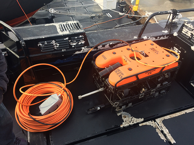deep_ocean_inc's tweet photo. Phantom® T5 Defender by #DeepOceanEngineering: A next-gen underwater #ROV with unmatched control and propulsion. Powered by Tecnadyne® thrusters, it's built in the USA for nearly 40 years and designed for law enforcement, featuring a Disrupter to break underwater obstructions. https://t.co/616HsZ4yja