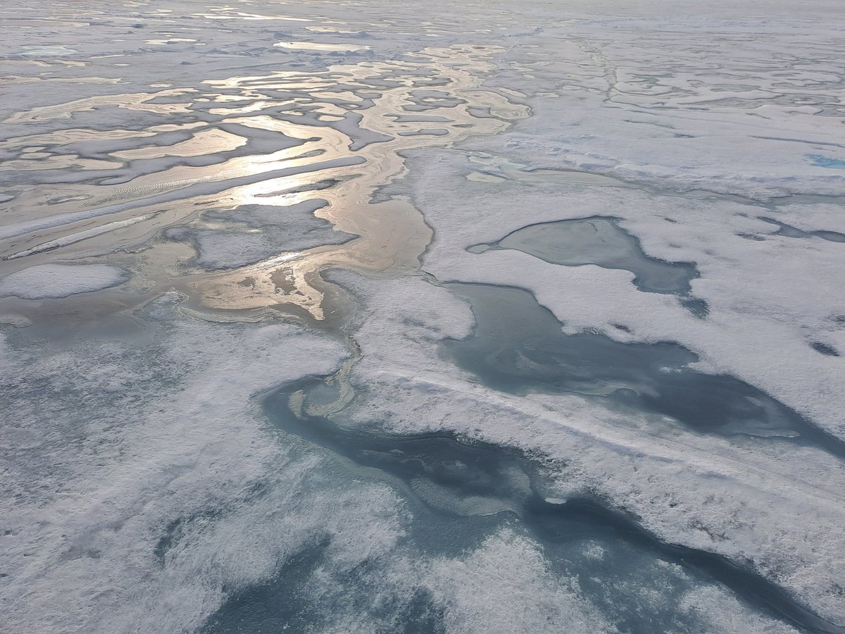 Dr Céline Heuzé tweet media