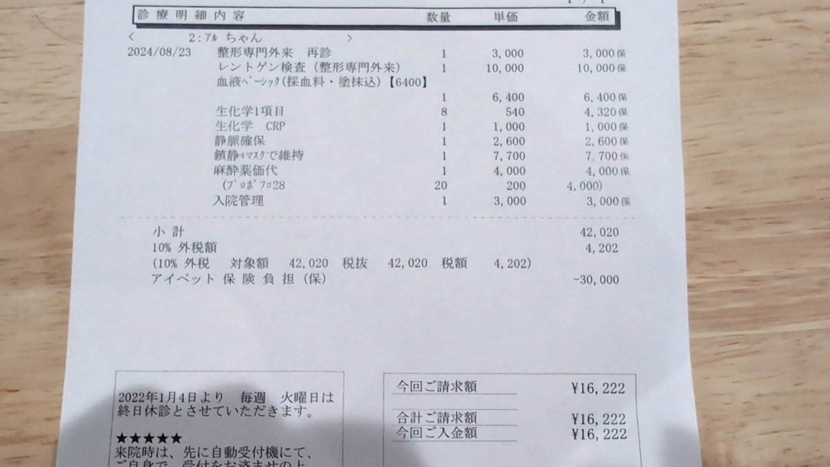 術後検査２回目＋1ヶ月1回の血液検査😵
毎回麻醉で１日預かり🙄
やっぱり疲れるのか
帰ってくるといつも元気ない😰

そして薬品の病院臭が凄い😅