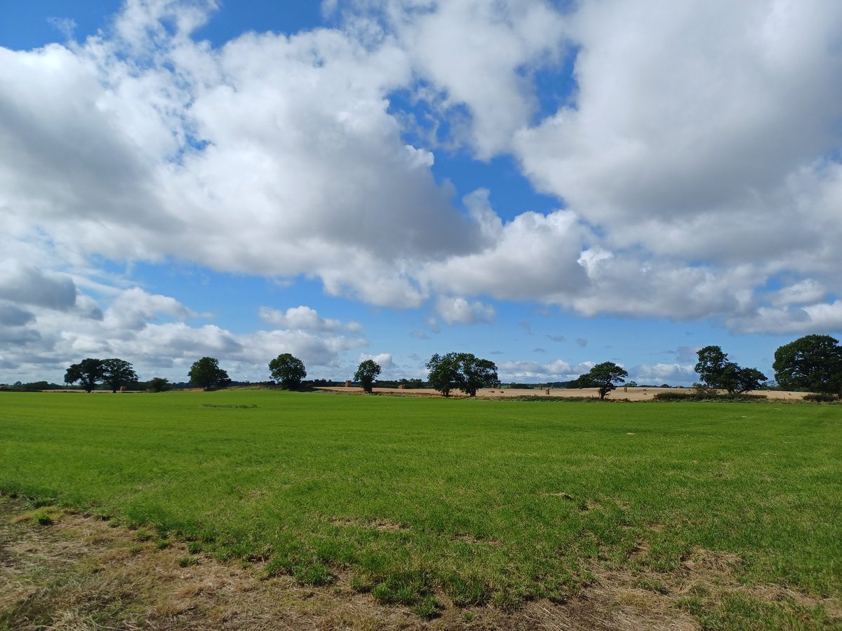 CharltonJohn's tweet photo. A lovely mornings pH testing stubble and grassland. #liming #phcorrection #stocktoncontracting @RandTLiming @AgriiUK https://t.co/KvPY2e03El