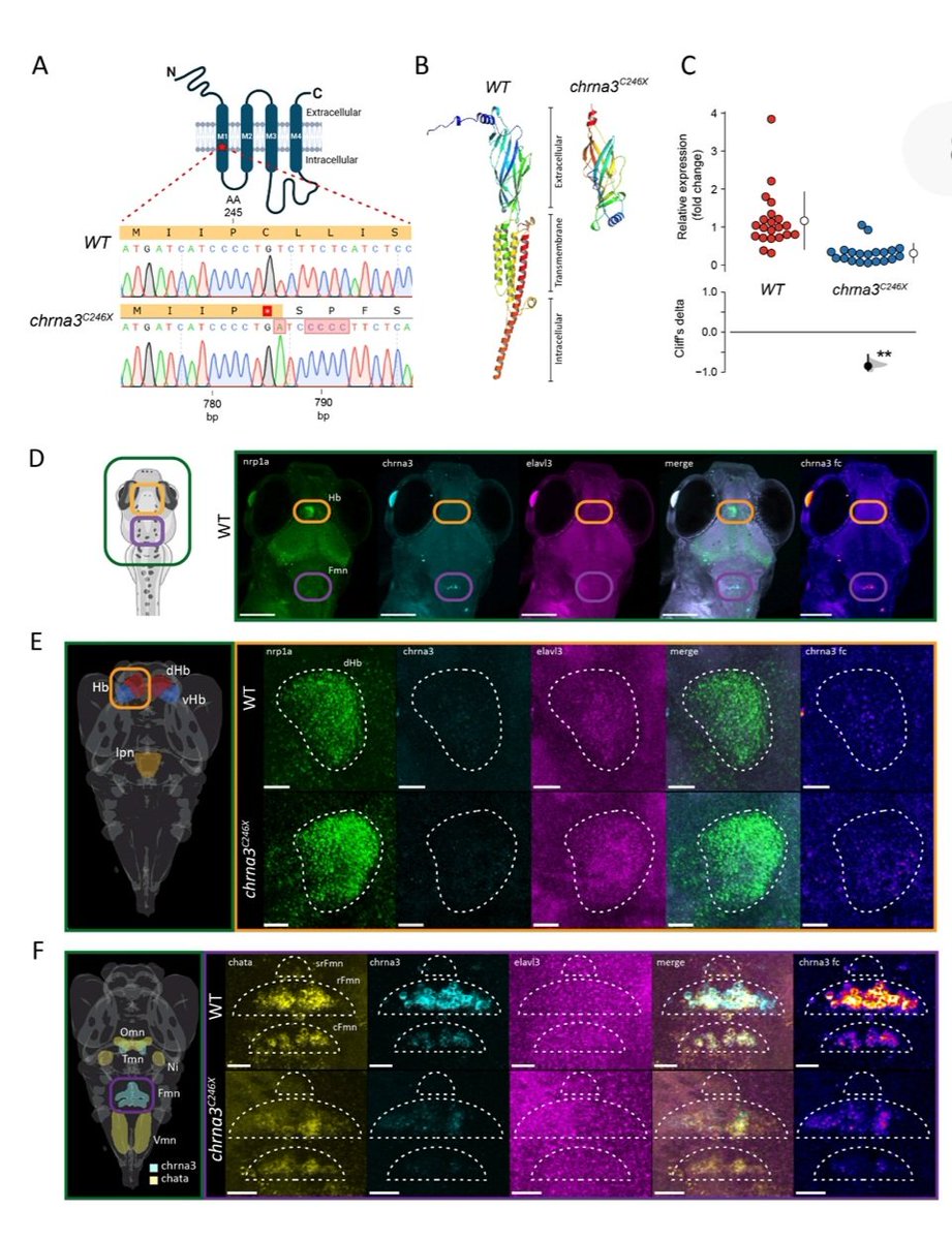 Tirtha Das Banerjee tweet media