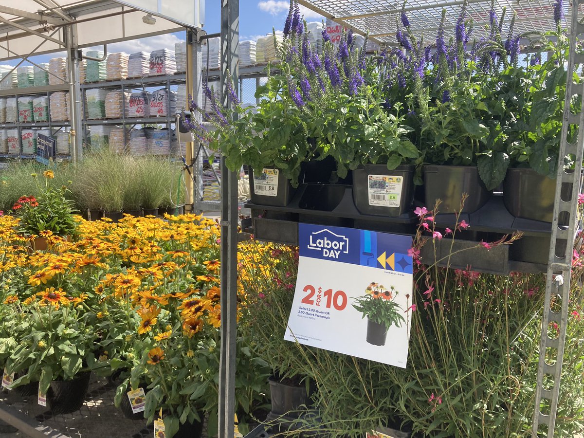 Sierra Behring | MGH tweet media